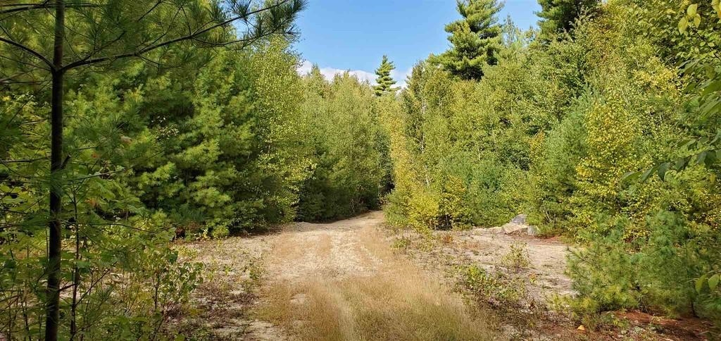 220 Stowell Road New Ipswich, NH 03071 - Photo 2 of 6