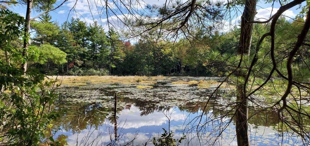 220 Stowell Road New Ipswich, NH 03071 - Photo 3 of 6