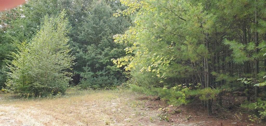 220 Stowell Road New Ipswich, NH 03071 - Photo 5 of 6