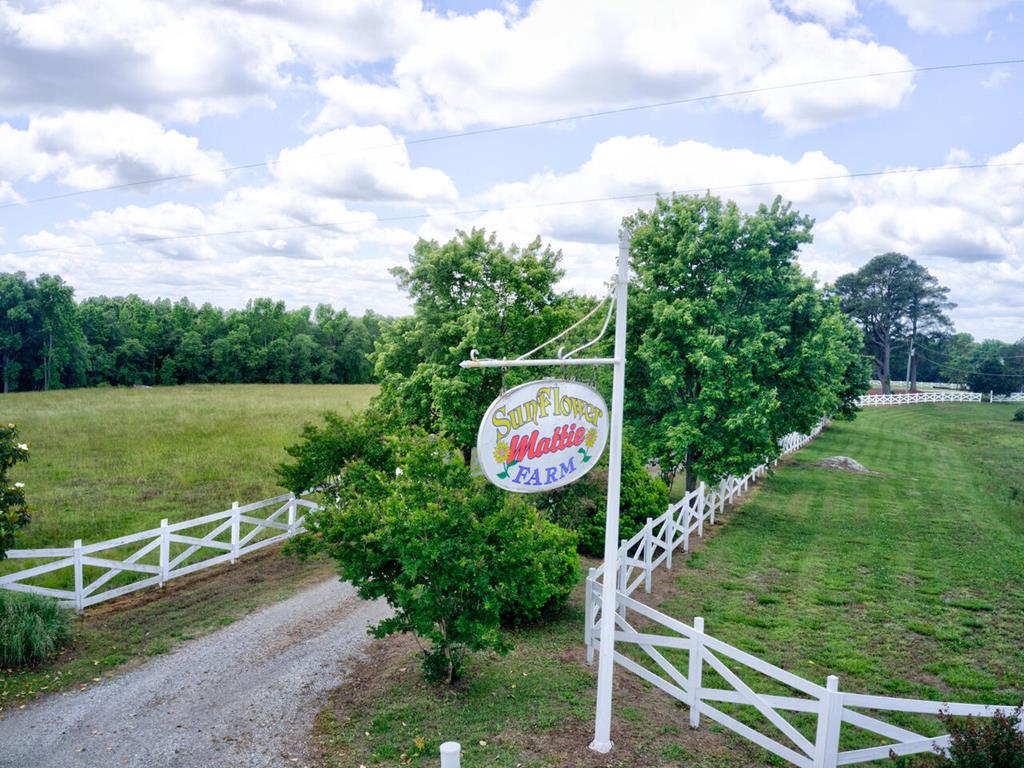 7959 Baskerville Road Baskerville, VA 23915 - Photo 55 of 57 Gallery Image 55
