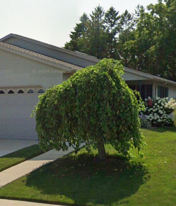 2138 South 22nd Street Manitowoc, WI 54220 - Photo 37 of 50 Front tree when in season. Image from Google Maps