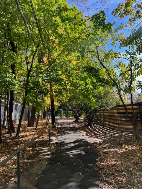 5601 Riverdale Avenue, Unit 5F Bronx, NY 10471 - Photo 24 of 25 a view of road and trees