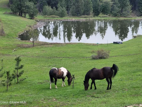 $1,150,000 | 232 Cheyenne Dr Street, St. Maries, ID 83861