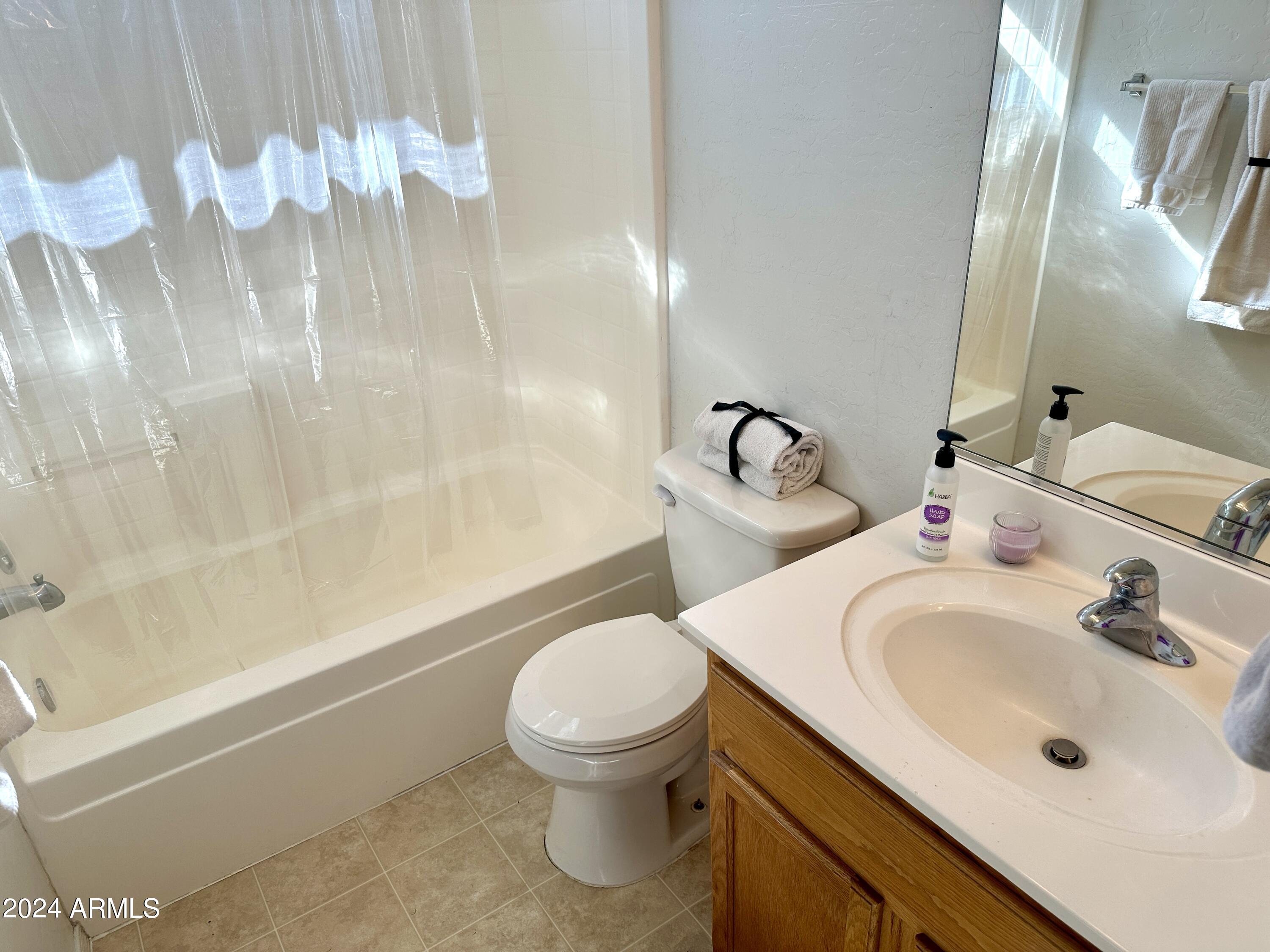 14829 West Redfield Road Surprise, AZ 85379 - Photo 17 of 26 Hall bath v