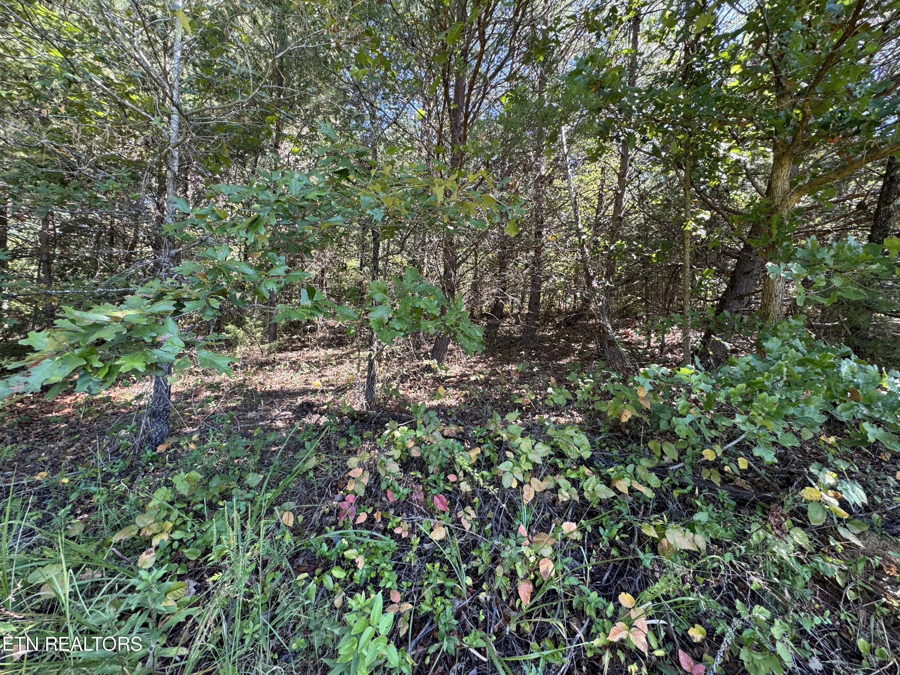 Lot 9 McGaha Chapel Road Newport, TN 37821 - Photo 2 of 13 2