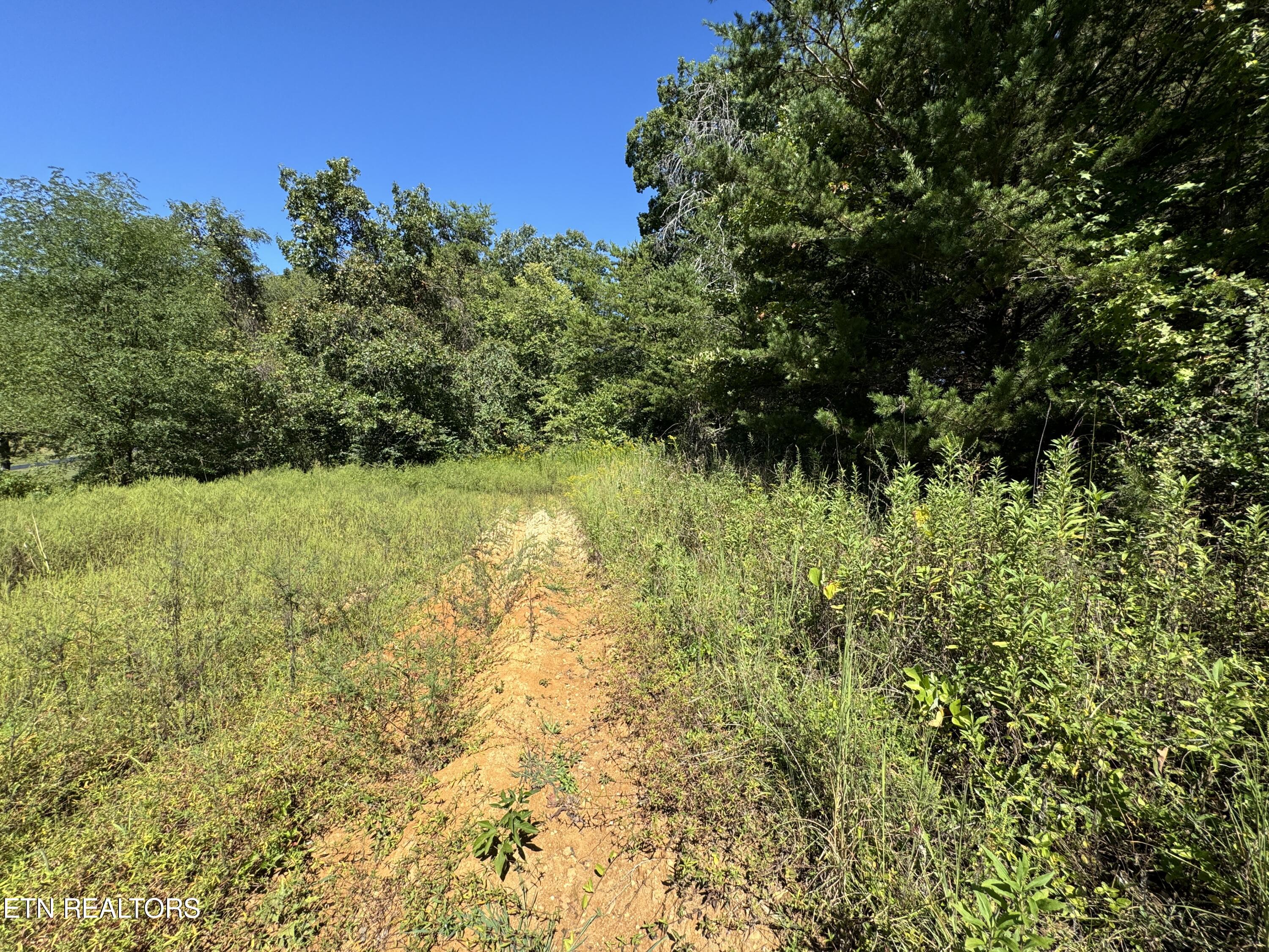 Lot 9 McGaha Chapel Road Newport, TN 37821 - Photo 9 of 13 9