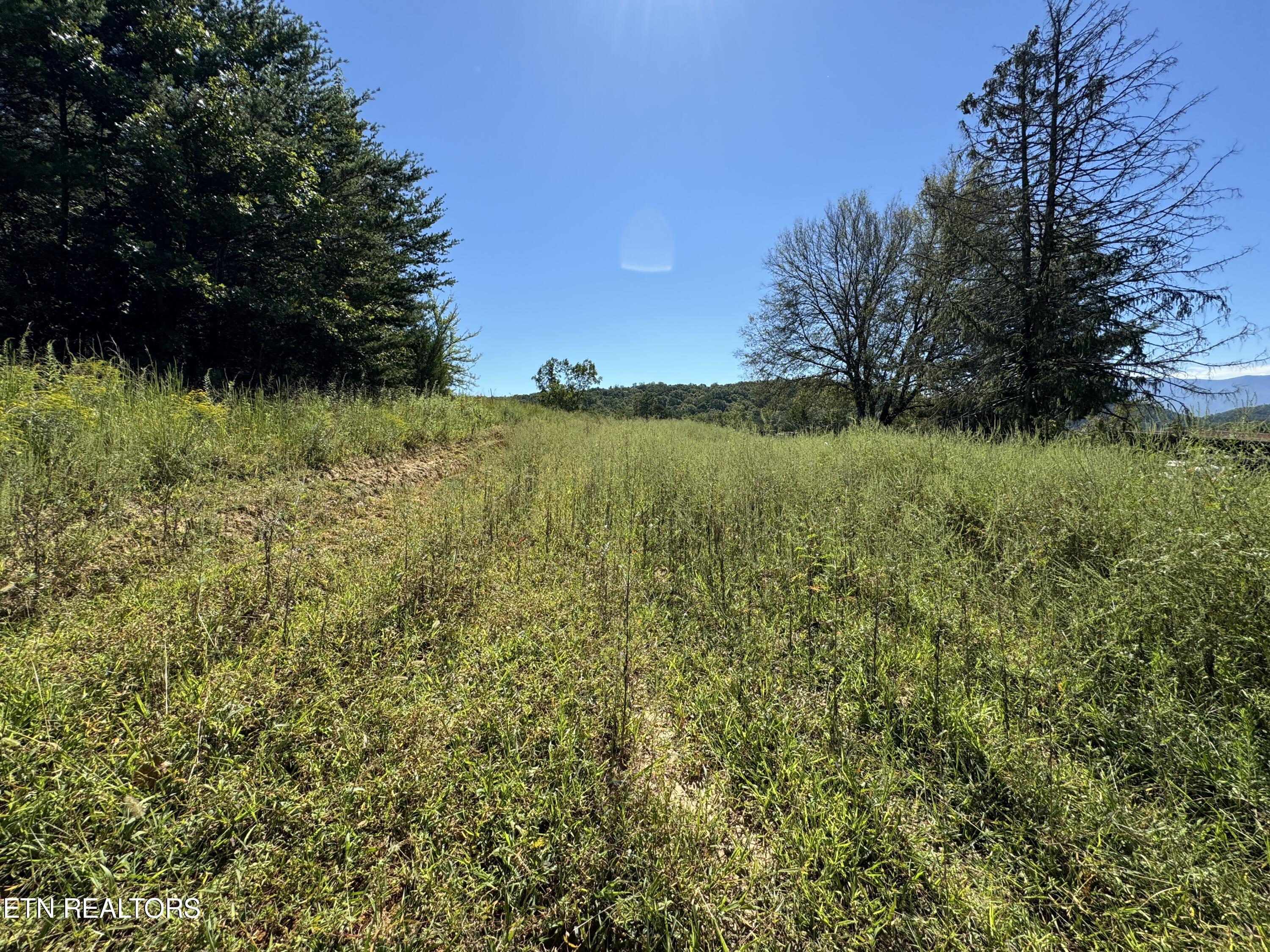 Lot 9 McGaha Chapel Road Newport, TN 37821 - Photo 10 of 13 10
