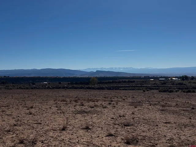 a view of a lake in middle of a forest