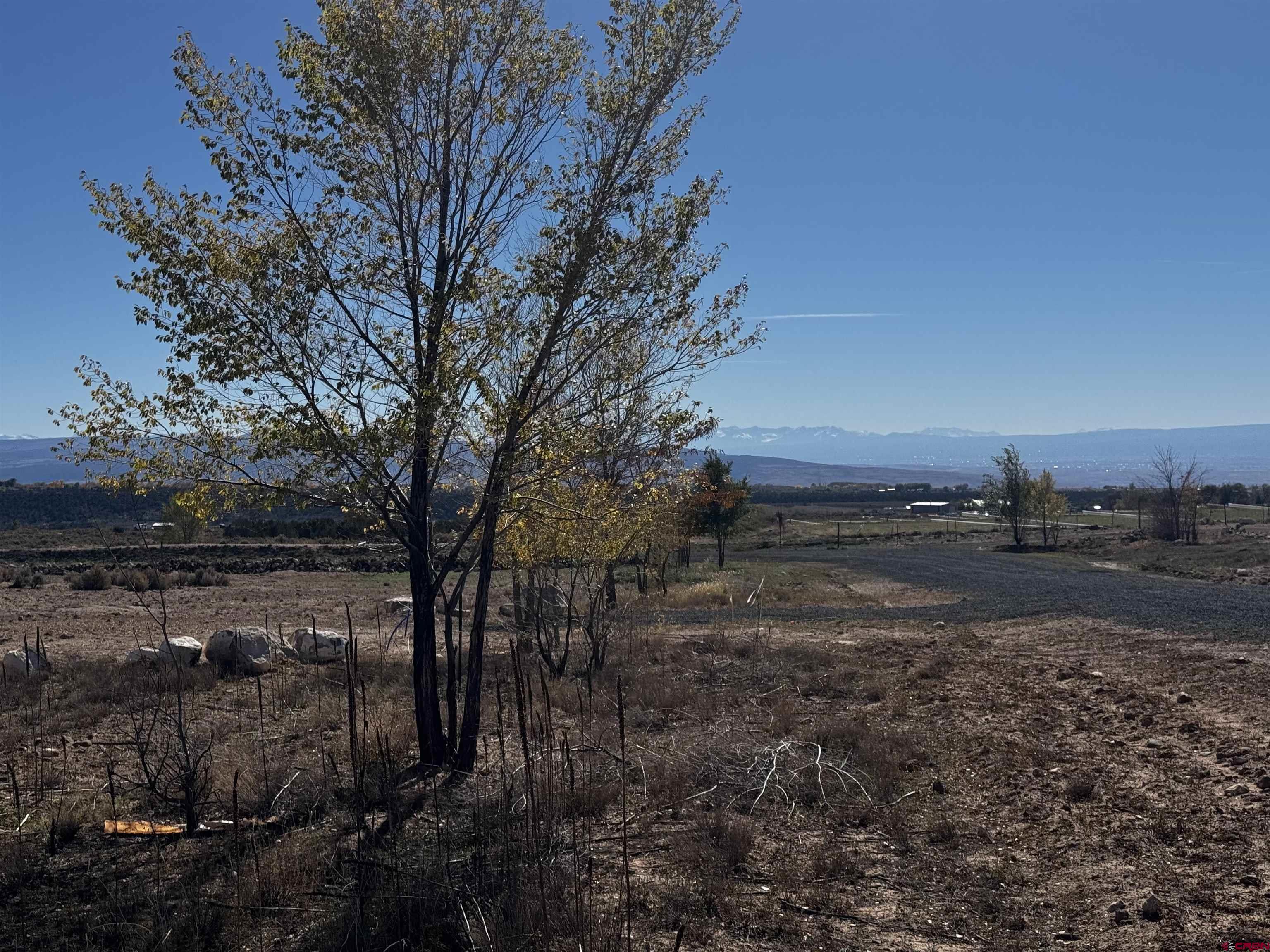 Tbd Lot 10 Tbd Lane Cedaredge, CO 81413 - Photo 2 of 5 a view of a yard with wooden fence