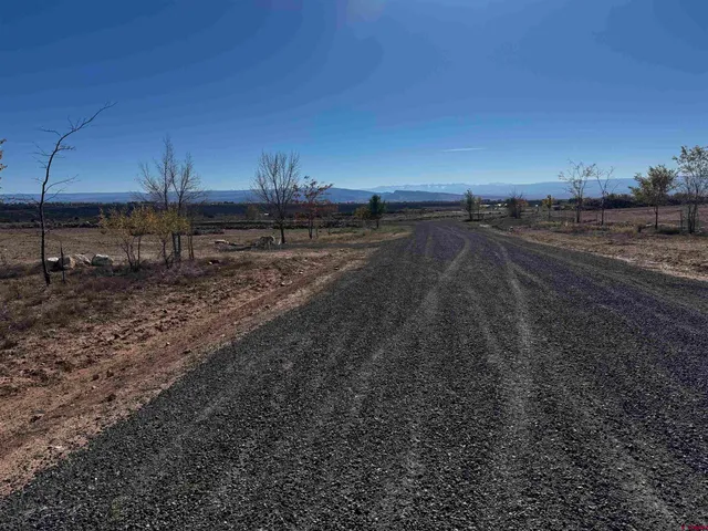 a view of a dry yard