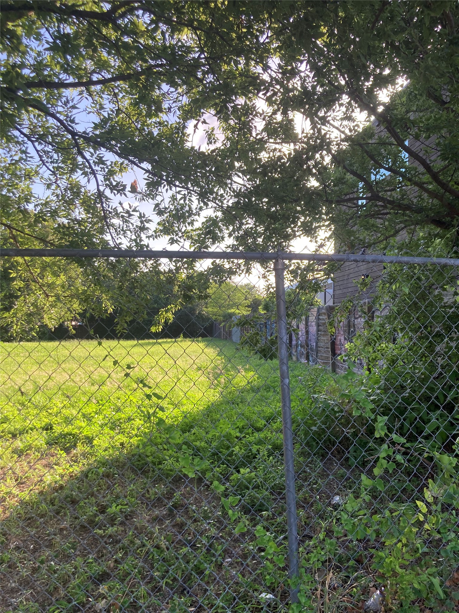 1192 B Comal Street Austin, TX 78702 - Photo 3 of 7 a view of yard
