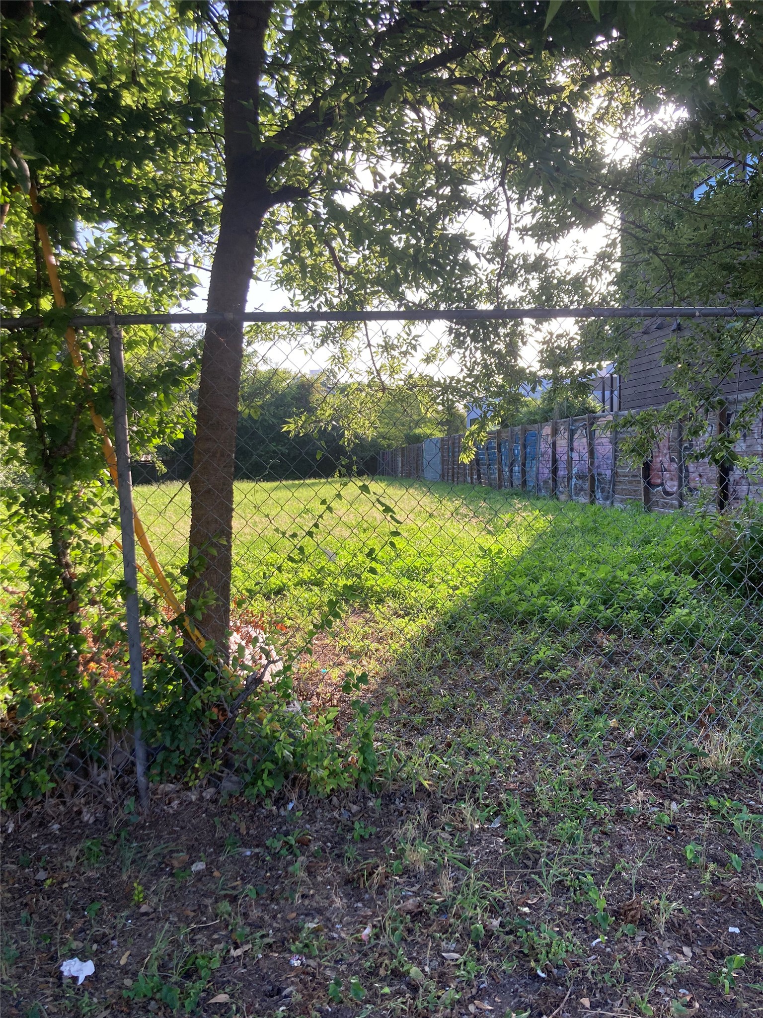 1192 B Comal Street Austin, TX 78702 - Photo 4 of 7 a view of a yard with large trees