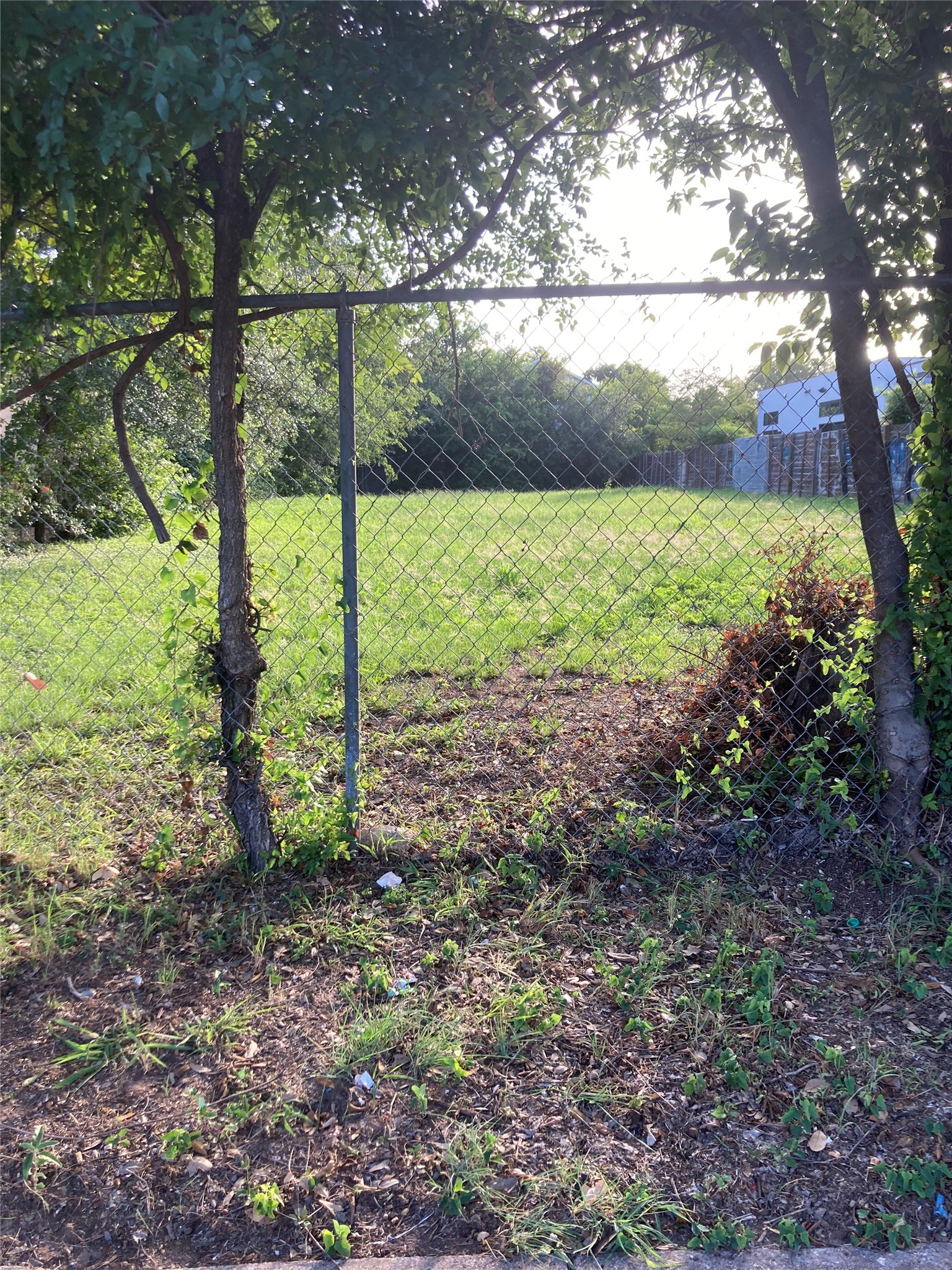 1192 B Comal Street Austin, TX 78702 - Photo 5 of 7 a view of outdoor space and garden
