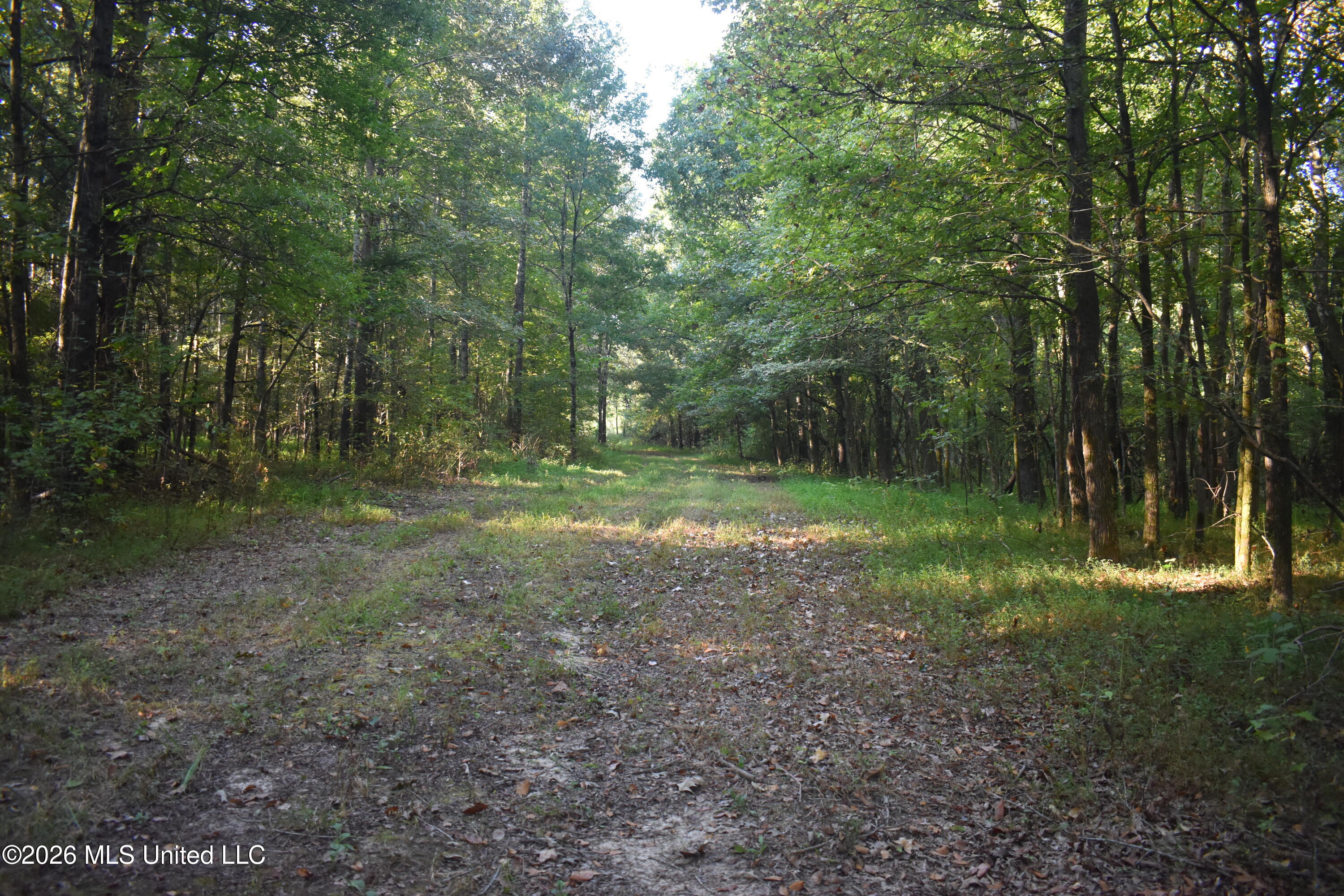390 Old Panola Road Como, MS 38619 - Photo 50 of 71 DSC_0127