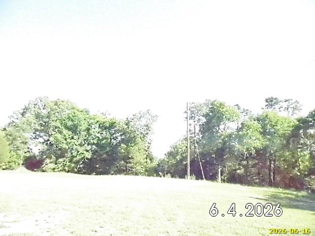 66 Pineknot Farms Road Box Springs, GA 31801 - Photo 15 of 20