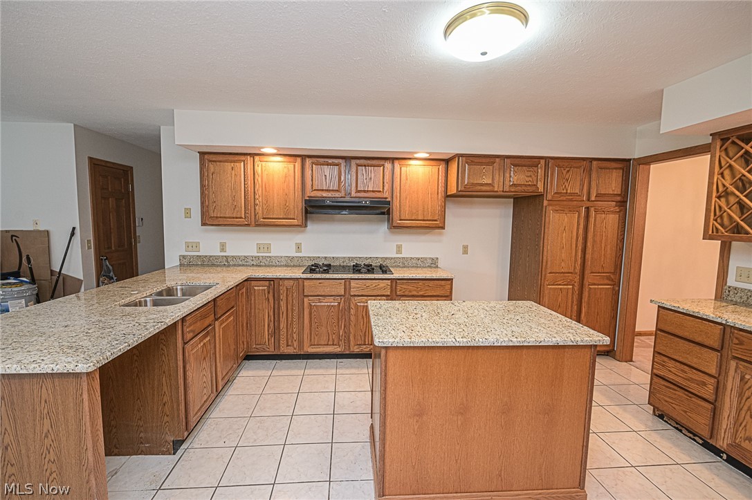 4031 Austin Road Geneva, OH 44041 - Photo 11 of 35 Gallery Image 11