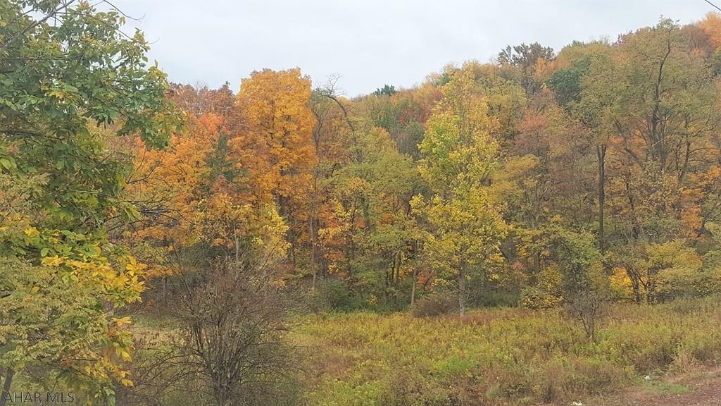 - West Carson Valley Road Duncansville, PA 16635 - Photo 6 of 8 Gallery Image 6