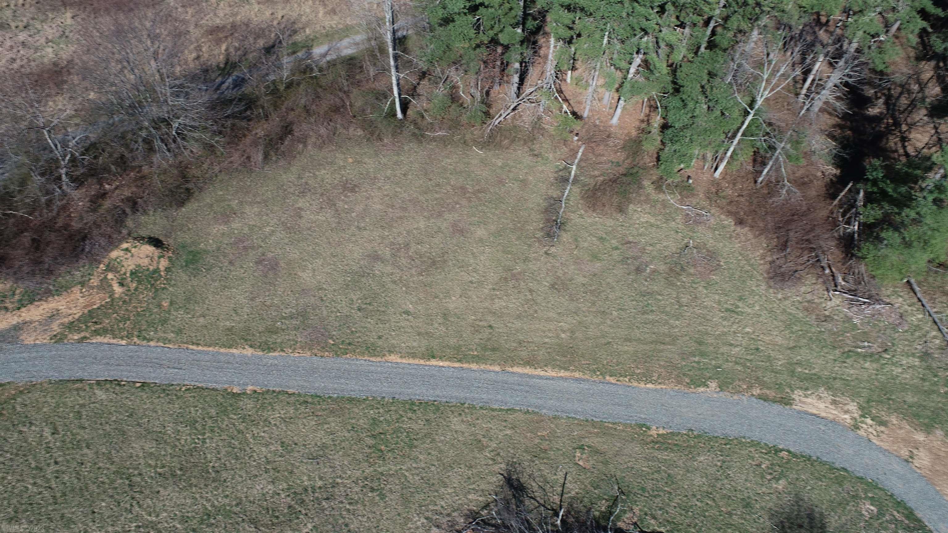 Tbd Reece Road Southwest Willis, VA 24380 - Photo 7 of 17 Gallery Image 7