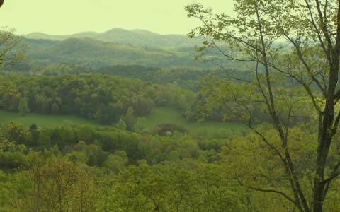 E East Tower Road Mineral Bluff, GA 30559 - Photo 1 of 1 Main View