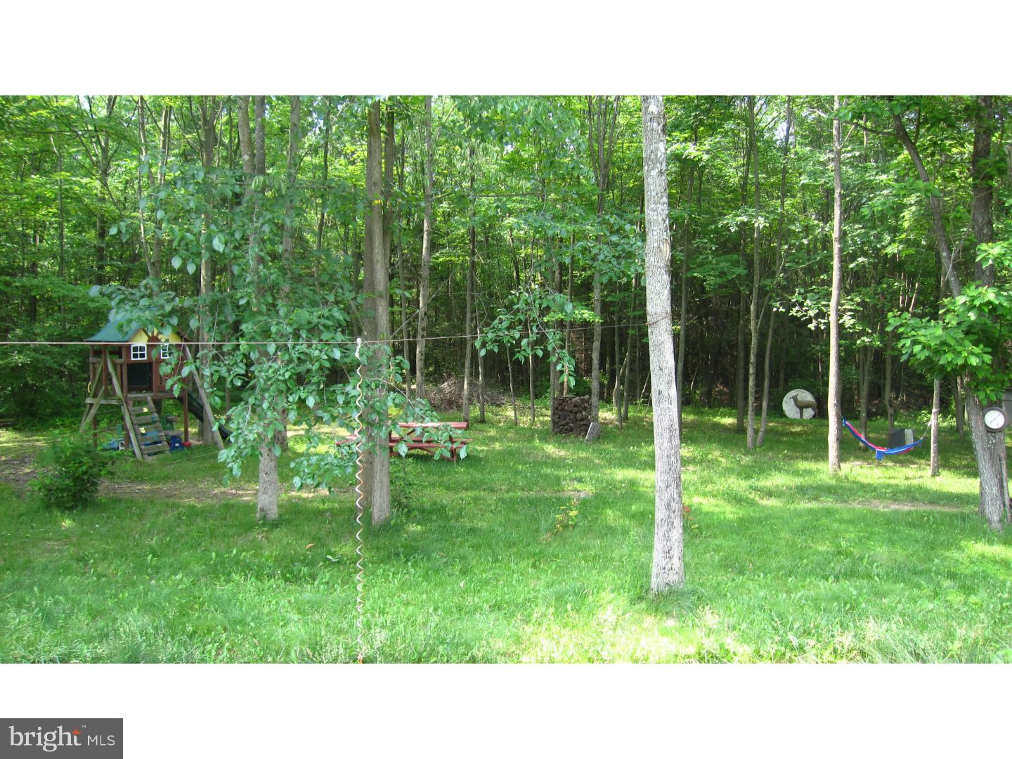 52 Hafler Road Sellersville, PA 18960 - Photo 5 of 25 Back Yard