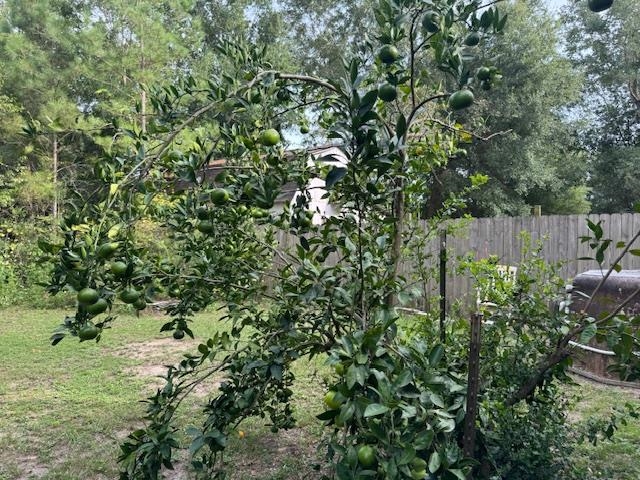 25328 Lavinia Avenue Elberta, AL 36530 - Photo 8 of 9 Yard
