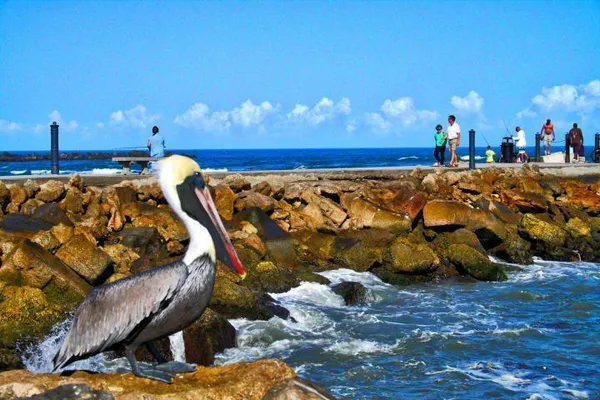 $3,000 | 5159 North Hwy A1A, Unit 311B, Fort Pierce, FL 34949