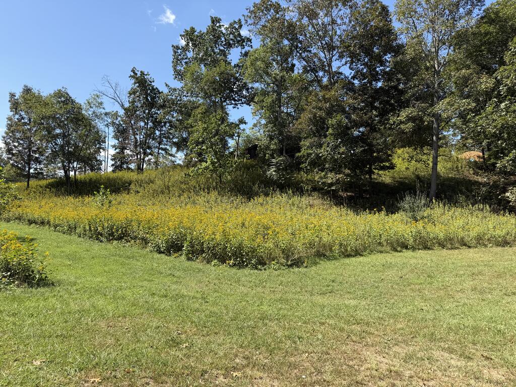 2443 Bruce Allen Road Hinton, WV 25951 - Photo 43 of 75 Gallery Image 43