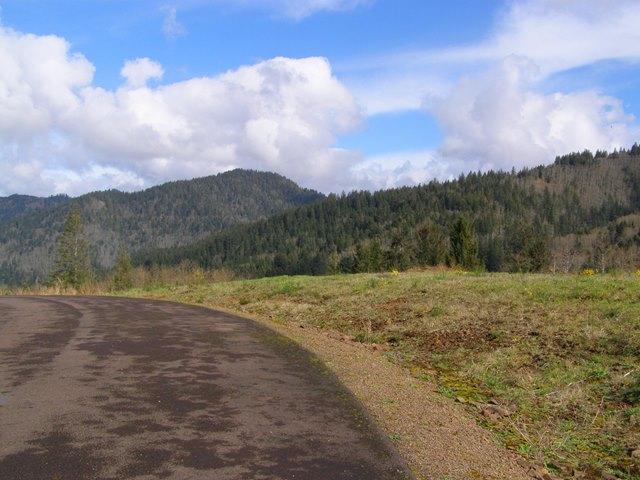 23 Skyview Road Tillamook, OR 97141 - Photo 38 of 41 P3180340