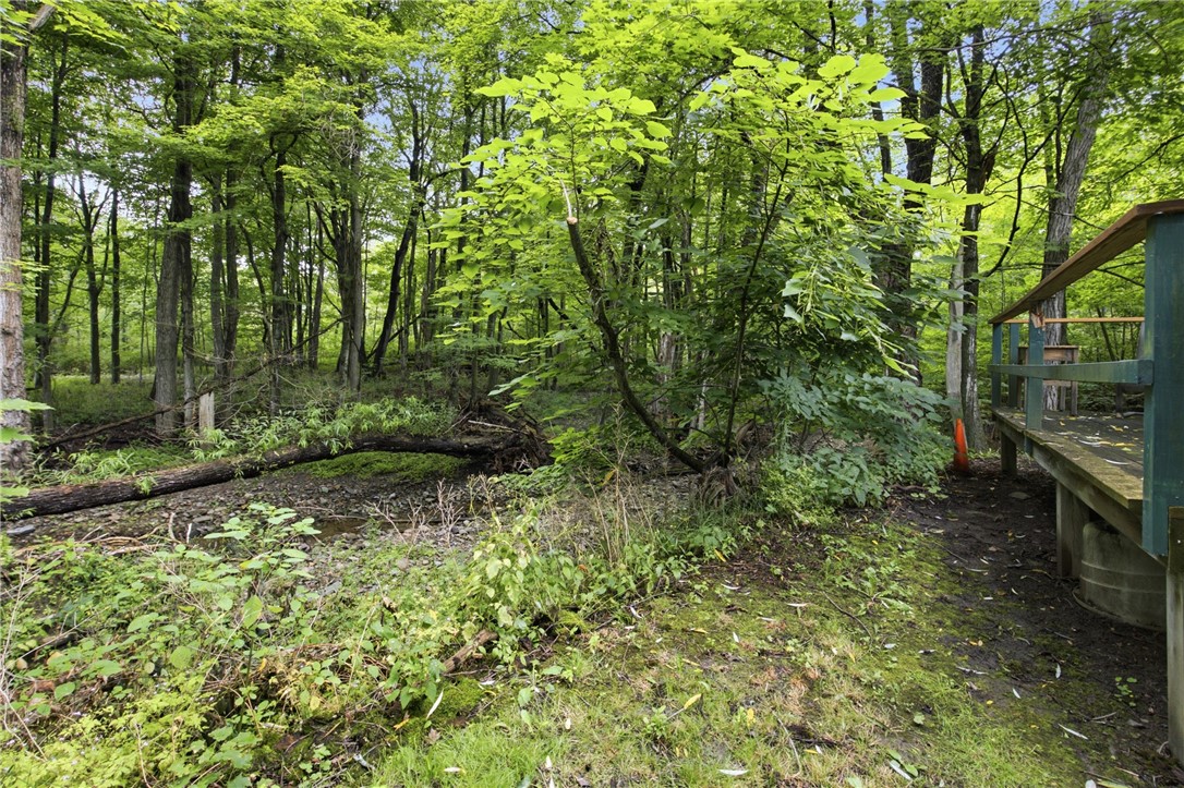 7843 Williams Road Prattsburgh, NY 14873 - Photo 7 of 35 Gallery Image 7