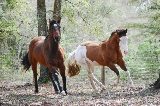 $219,900 | 19887 35th Drive, Wellborn, FL 32094