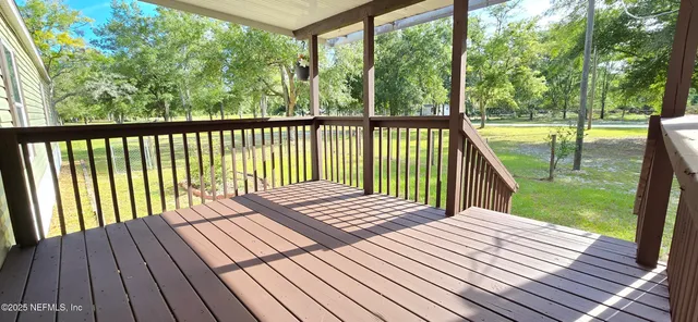 a view of a tree in a yard