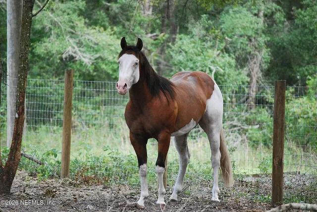 a kitchen with stainless steel appliances a sink a microwave a refrigerator and wooden cabinets