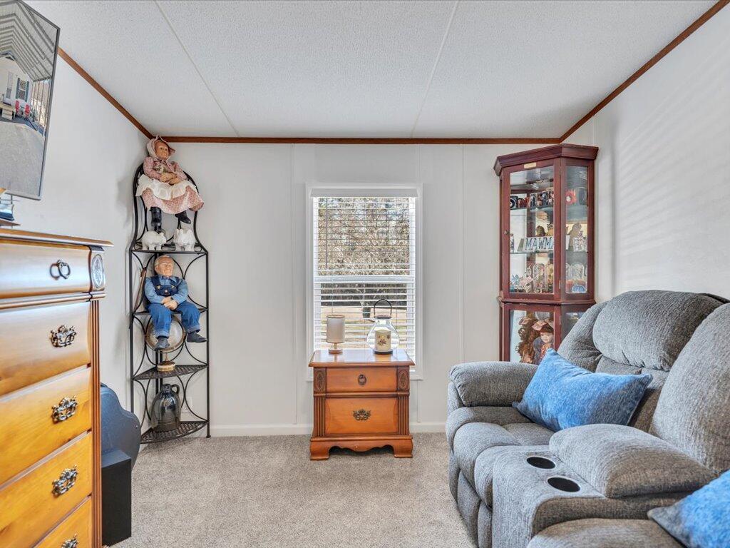 2039 Egg Farm Road Patrick Springs, VA 24133 - Photo 29 of 56 29-MIB00802