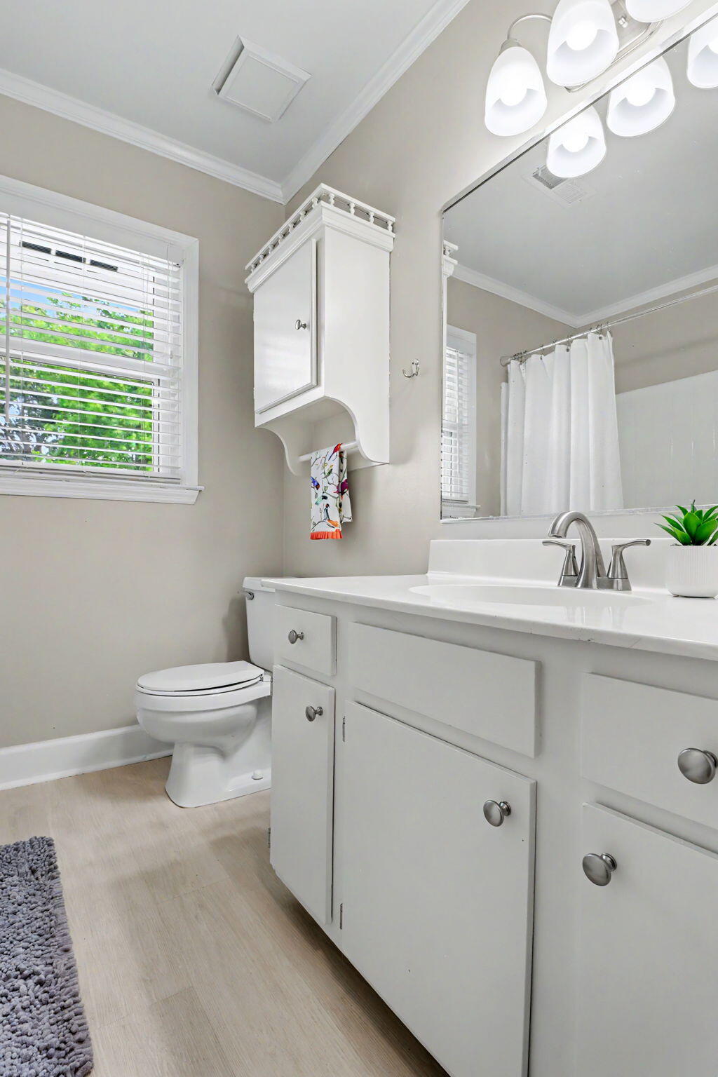 4 Mulroy Court Charleston, SC 29414 - Photo 19 of 23