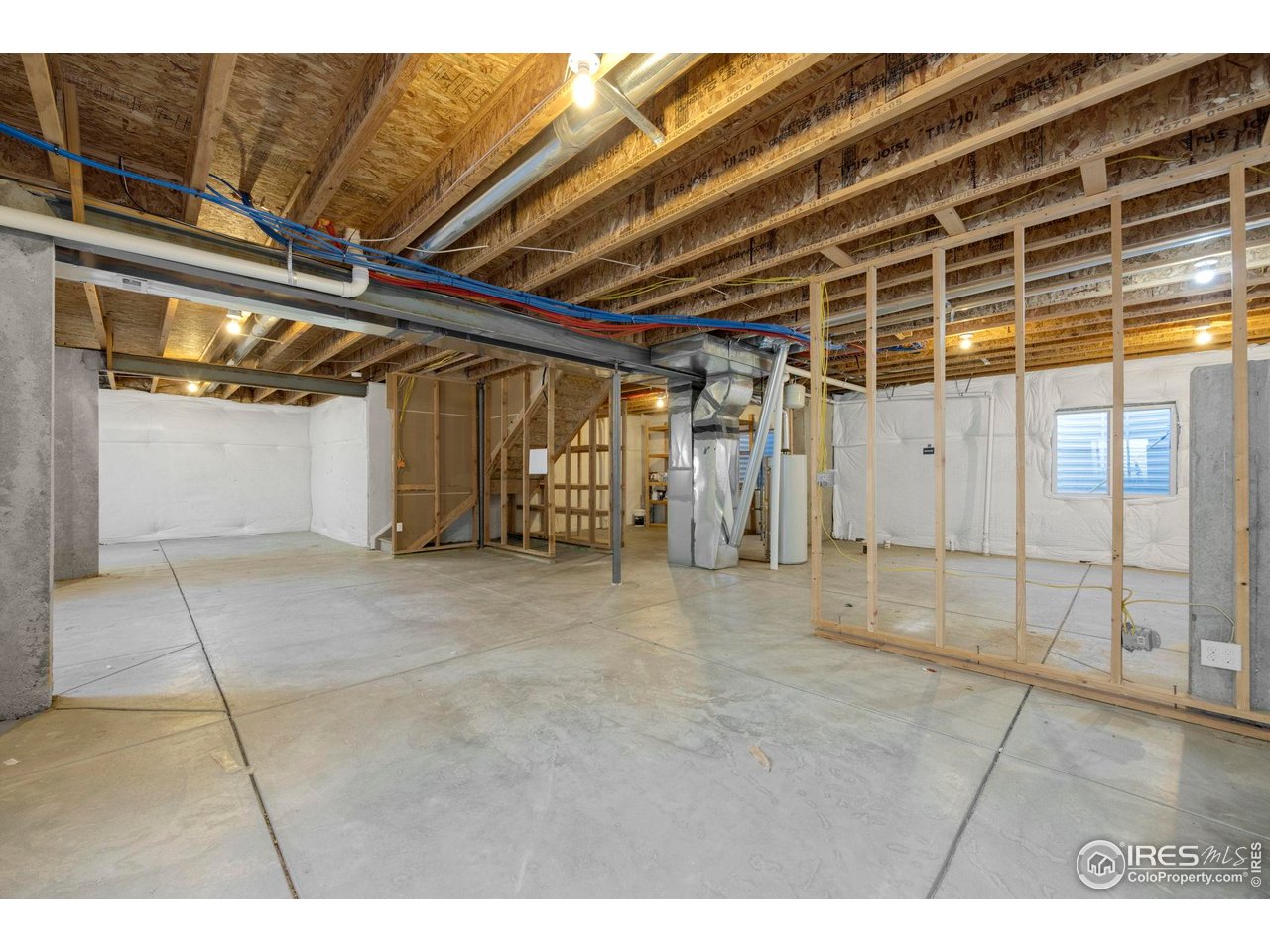 1555 Benfleet Court Windsor, CO 80550 - Photo 38 of 41