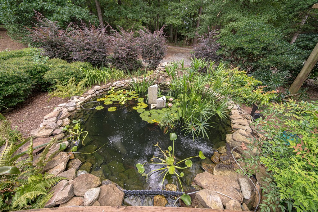 8100 Warm Springs Road Midland, GA 31820 - Photo 29 of 35 a close up of a flower in a garden
