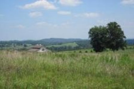 Lot 24 Ranch Road Blaine, TN 37709 - Photo 1 of 1 Primary Photo