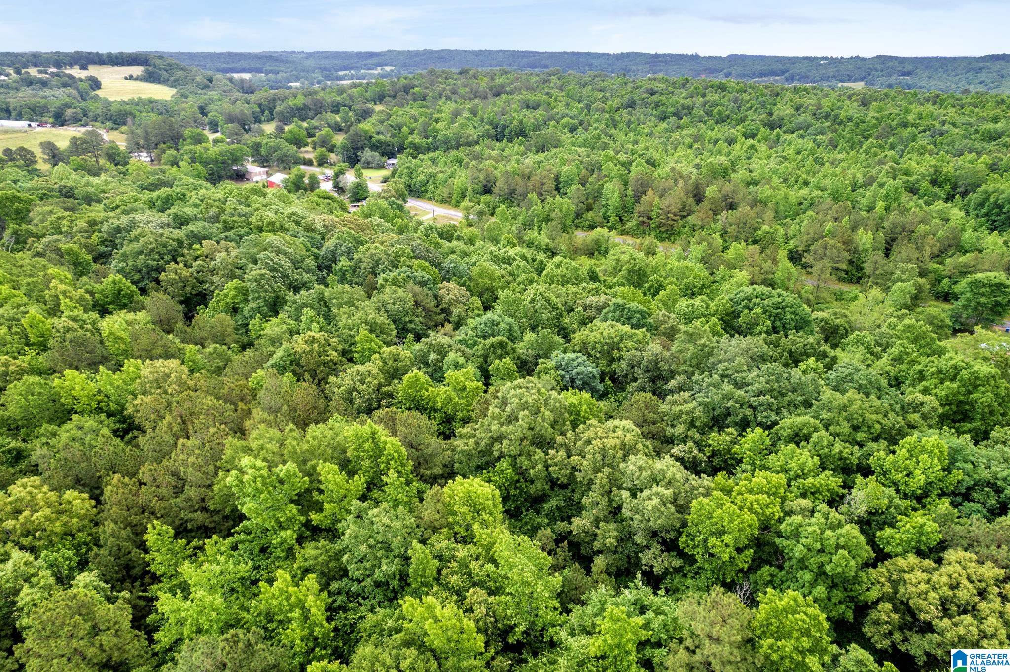 530 Mt Road Blountsville, AL 35031 - Photo 16 of 18