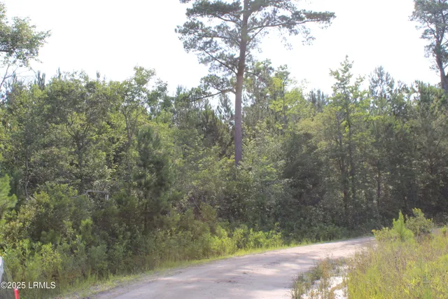 $210,000 | 813 Dr Young Road, Hampton, SC 29924