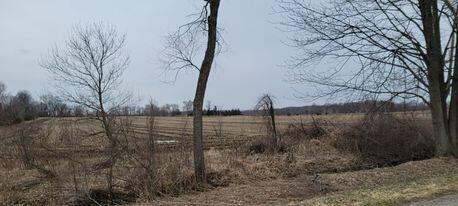178 Butcher Road Coldwater, MI 49036 - Photo 3 of 3 278469324_229045682755140_50561719253844