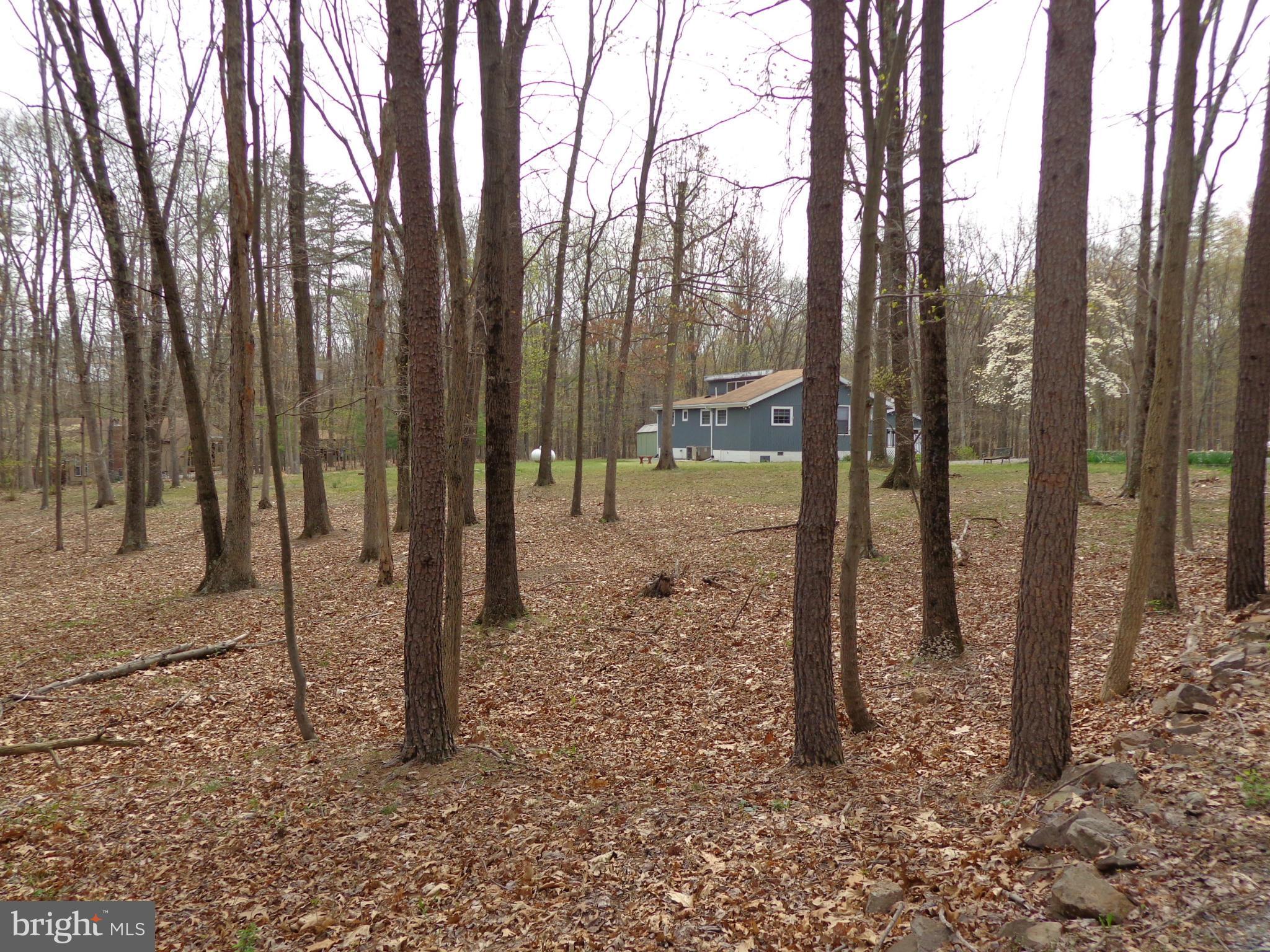 228 Devonshire Road Hedgesville, WV 25427 - Photo 22 of 25 View
