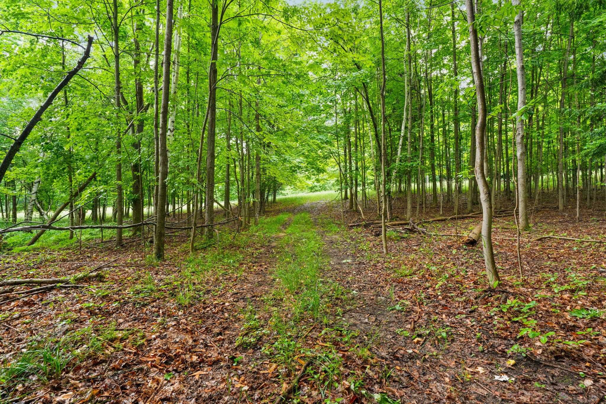 0 Erdman Road Arcadia, MI 49613 - Photo 7 of 9