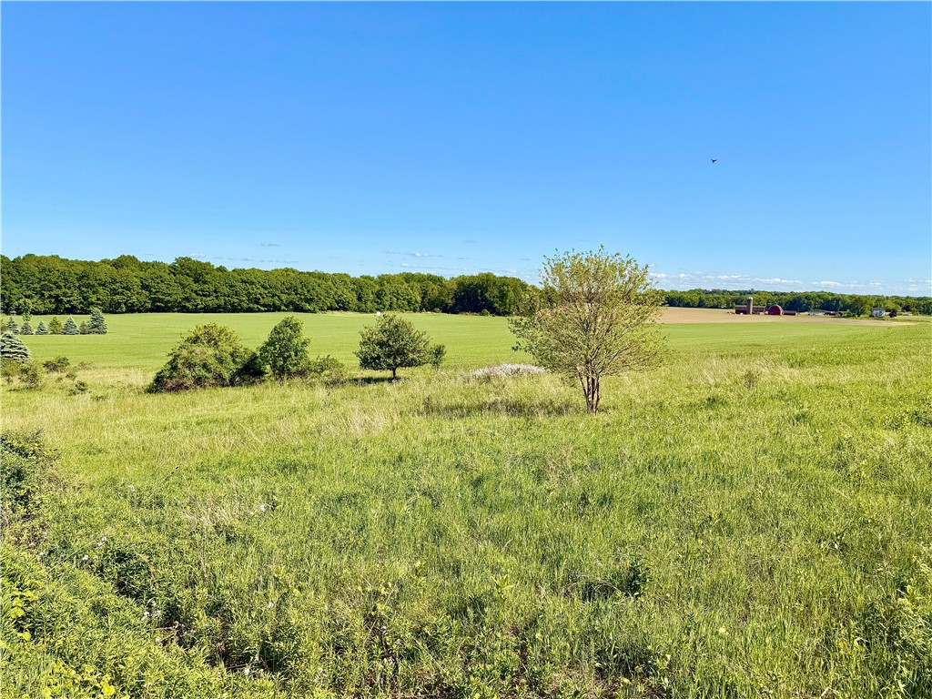0 Daley Road Caledonia, NY 14423 - Photo 4 of 11