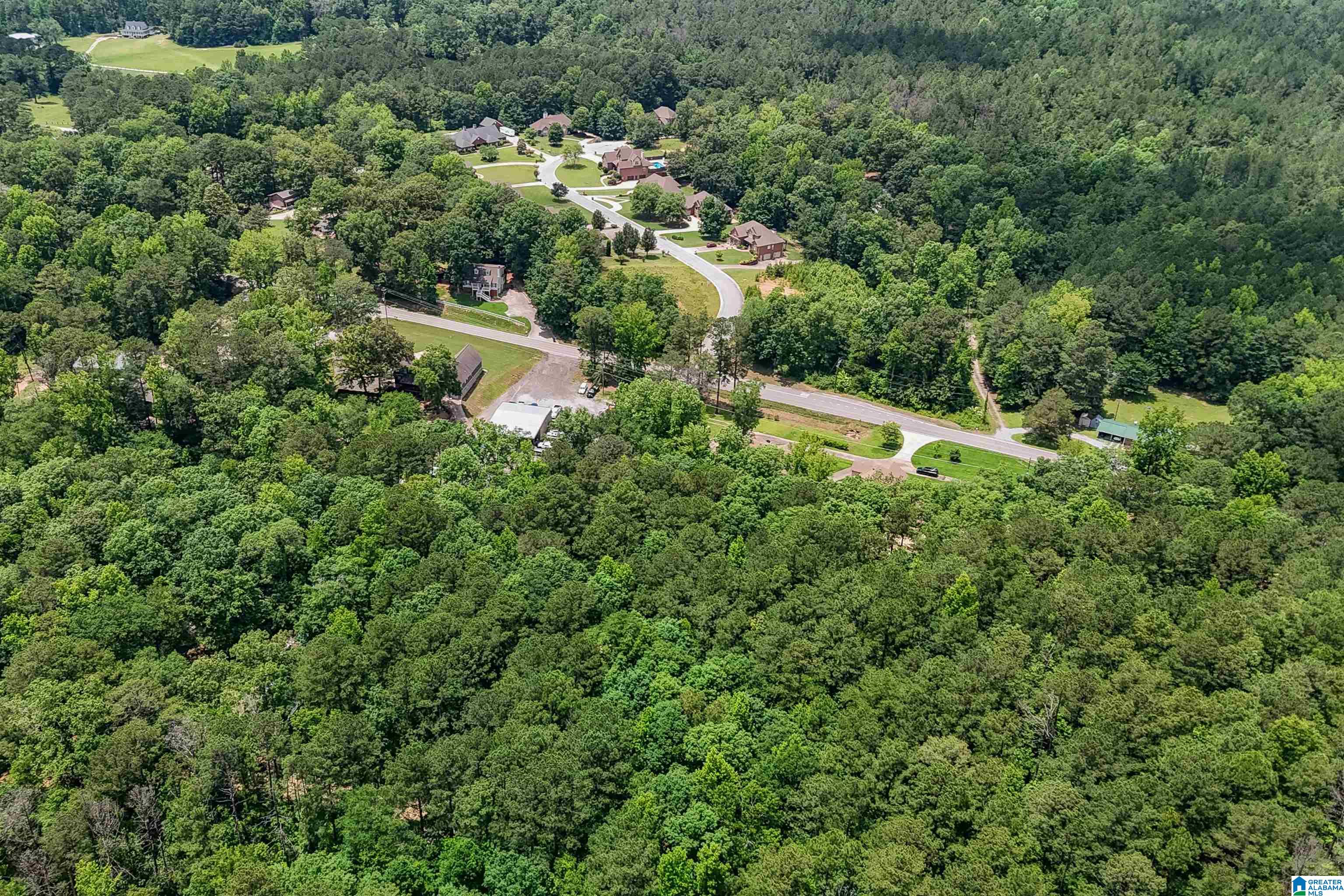 0 Red Oak Circle Helena, AL 35080 - Photo 3 of 21