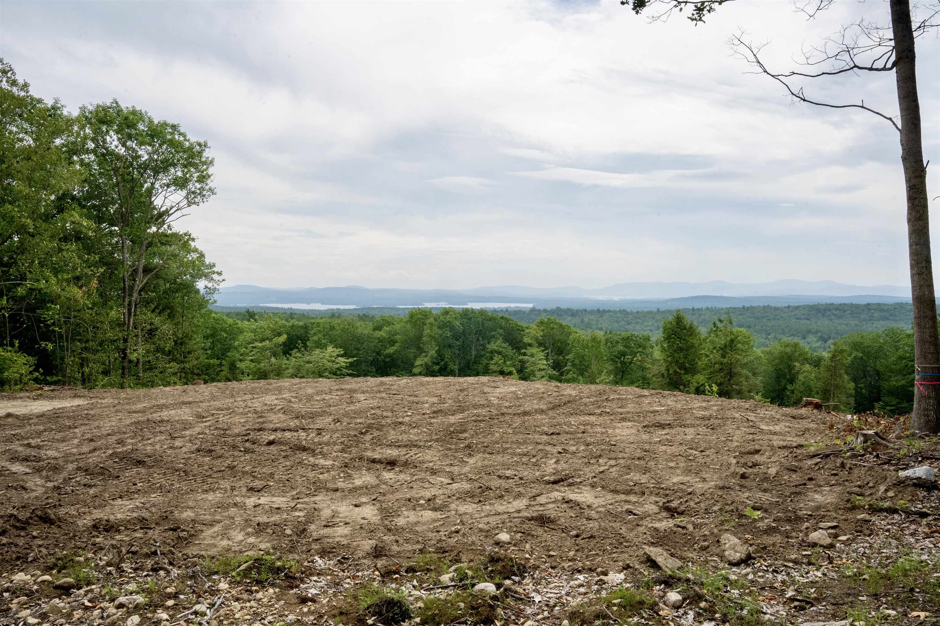 0 Trask Mountain Wolfeboro, NH 03894 - Photo 14 of 25