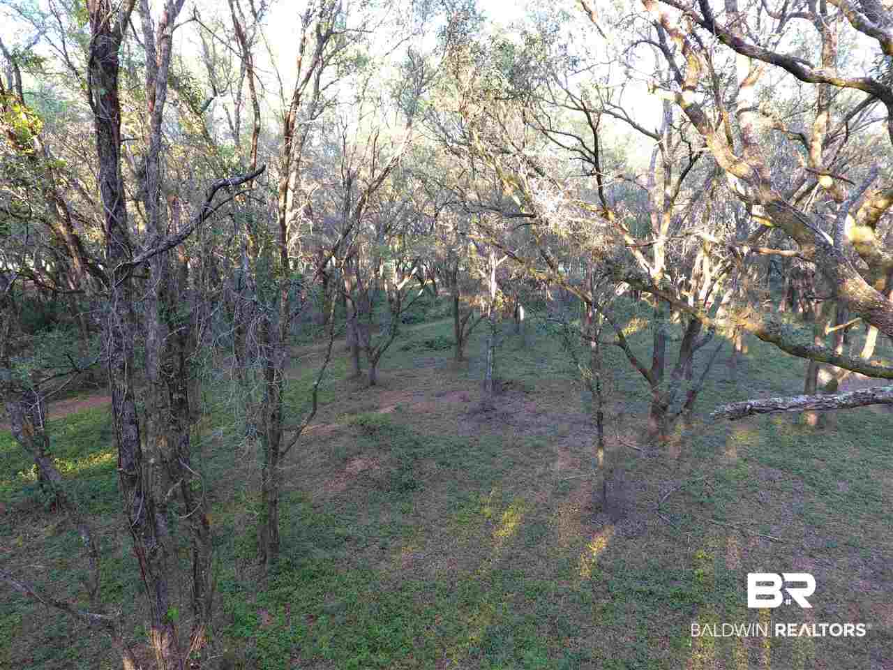 9690 Sherman Road Foley, AL 36535 - Photo 7 of 19