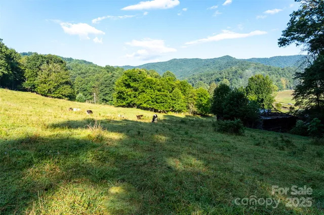 a view of an lush green mountain
