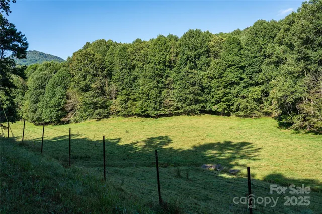 a view of a garden with an outdoor space