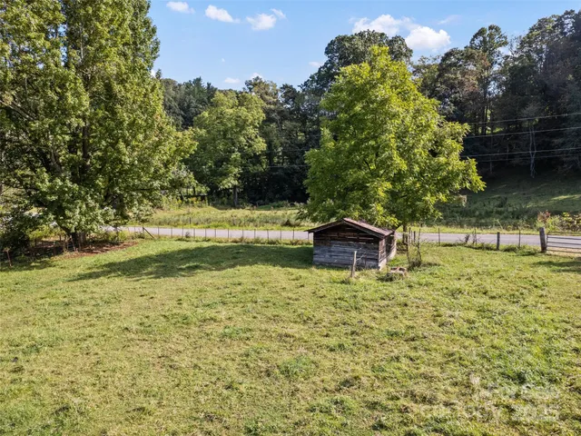a close up of a tree