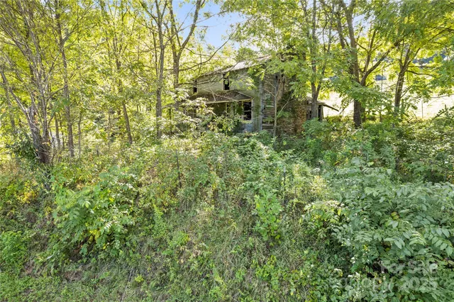 a yard with swimming pool and green space